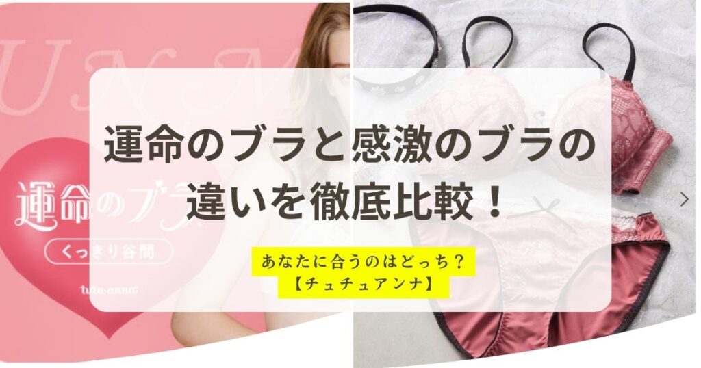 運命のブラと感激のブラの違いを比較！どっちがおすすめ
