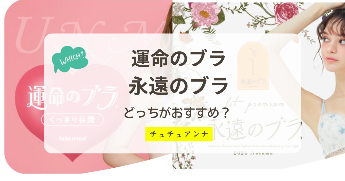 運命のブラと永遠のブラの違いおすすめはどっち